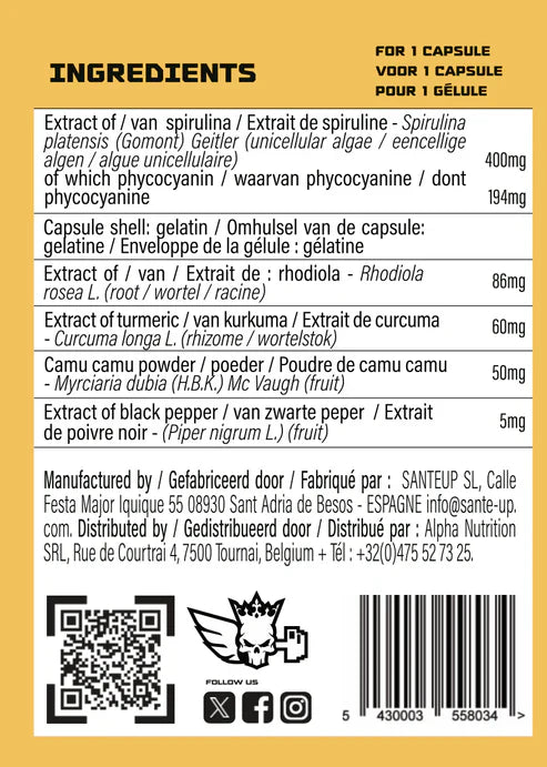 Alpha Labz - OCEAN PRIME